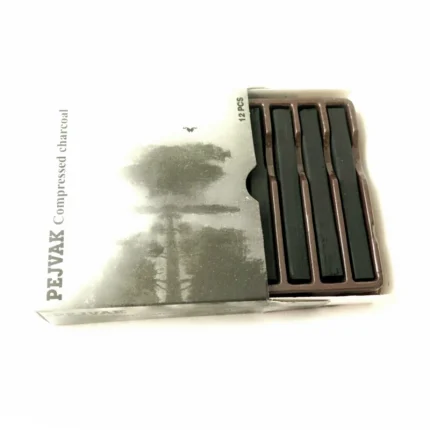 زغال طراحی 12 عددی پژواک compressed charcoal